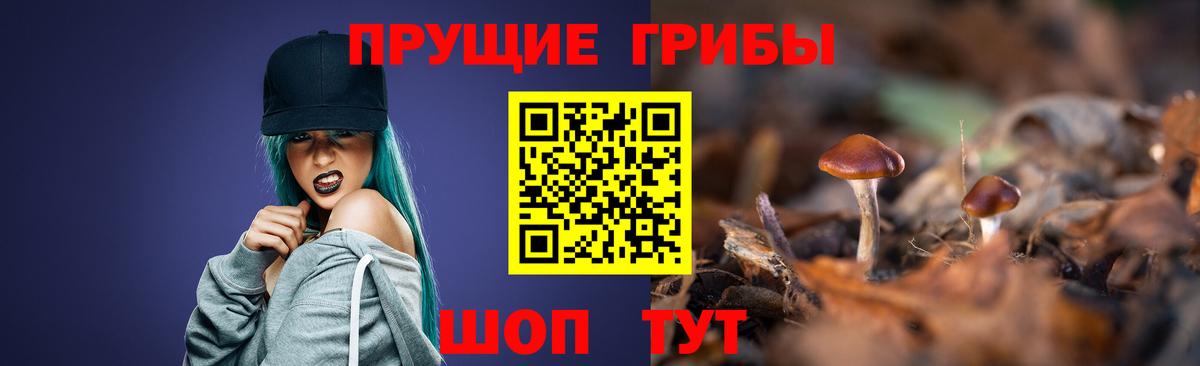 Псилоцибиновые грибы Psilocybine cubensis  Вход с VPN  Галлюциногенные грибы прущие грибы  Каменск-Уральский 